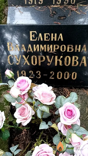 Сухорукова Елена Владимировна