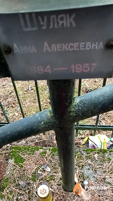 Шуляк Анна Алексеевна
