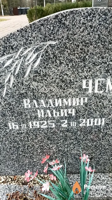 Чеметьев Владимир Ильич