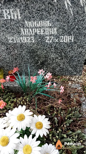Чеметьева Любовь Андреевна