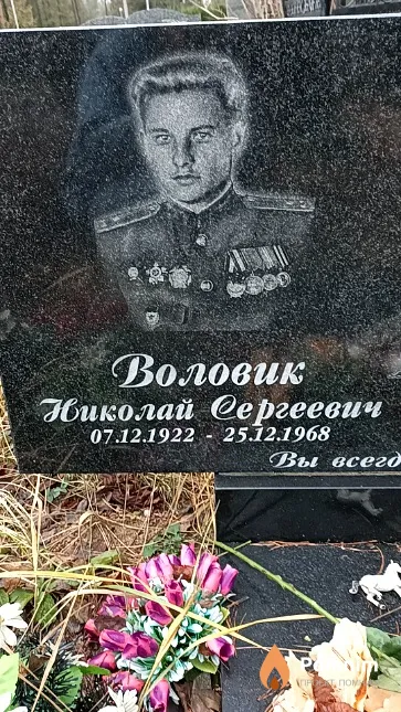 Воловик Николай Сергеевич