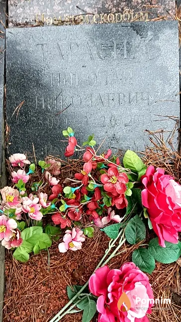 Тарасик Николай Николаевич