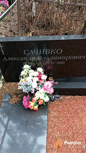 Сачивко Александр Владимирович