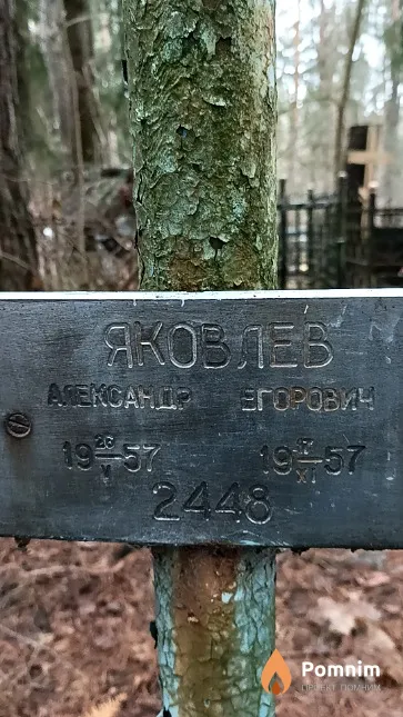 Яковлев Александр Егорович