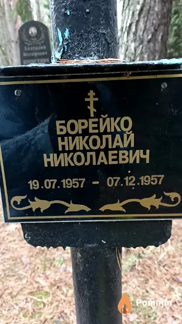 Борейко Николай Николаевич