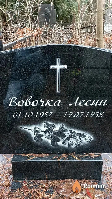 Лесин Владимир