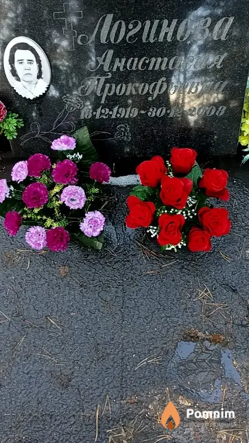 Логинова Анастасия Прокофьевна