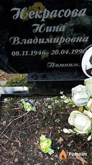 Некрасова Нина Владимировна