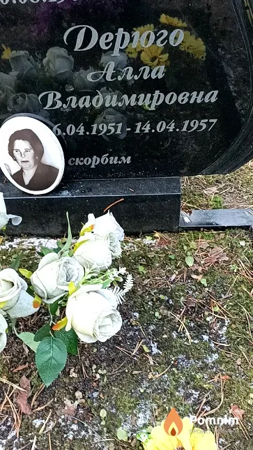 Дерюго Алла Владимировна