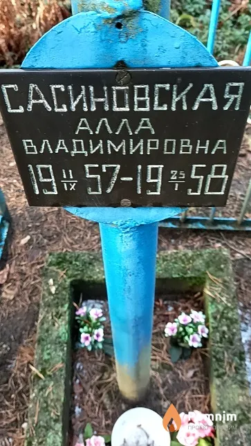 Сасиновская Алла Владимировна
