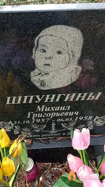 Шпунгин Михаил Григорьевич