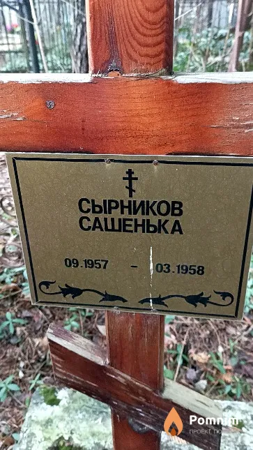 Сырников Александр