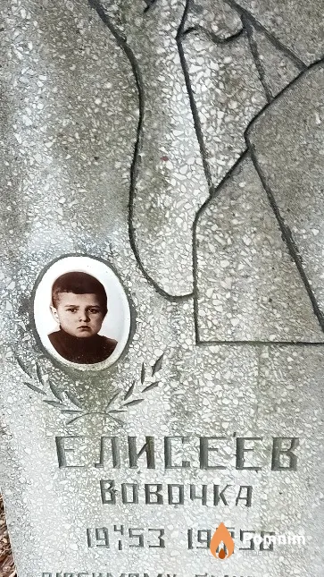 Елисеев Владимир