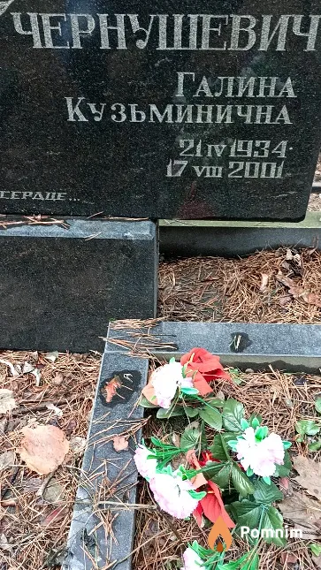 Чернушевич Галина Кузьминична