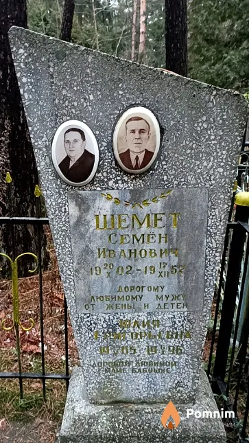 Шемет Юлия Григорьевна
