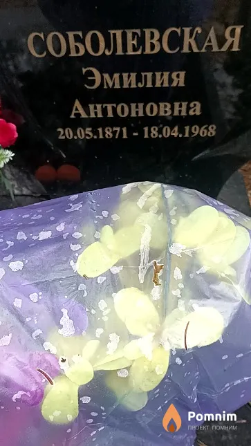 Соболевская Эмилия Антоновна