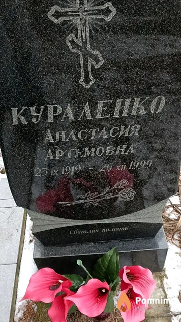 Кураленко Анастасия Артемовна