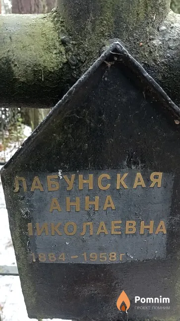 Лабунская Анна Николаевна