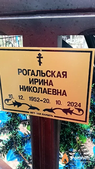 Рогальская Ирина Николаевна