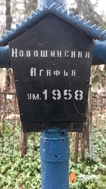 Новошинская Агафья