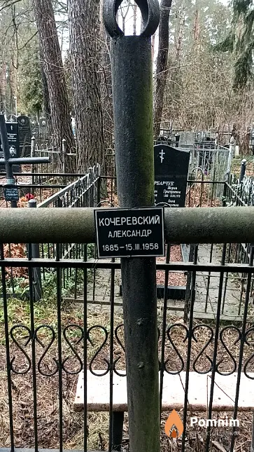 Кочеревский Александр