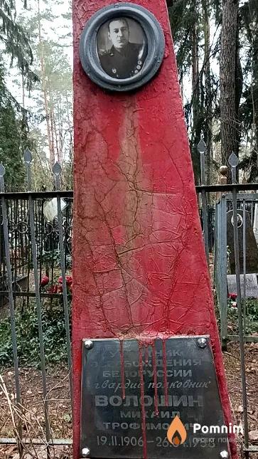 Волошин Михаил Трофимович