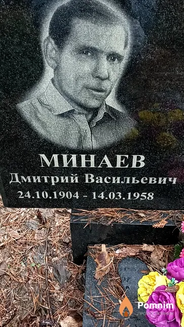 Минаев Дмитрий Васильевич