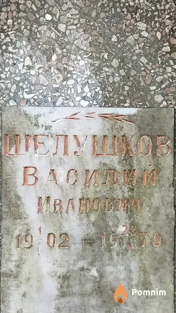 Шелушков Василий Иванович
