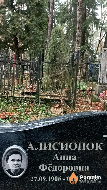 Алисионок Анна Федоровна