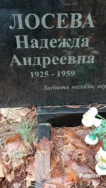 Лосева Надежда Андреевна
