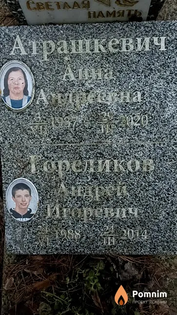 Гореликов Андрей Дмитриевич