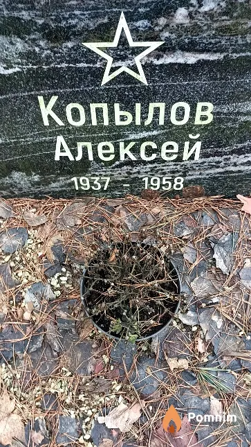 Копылов Алексей