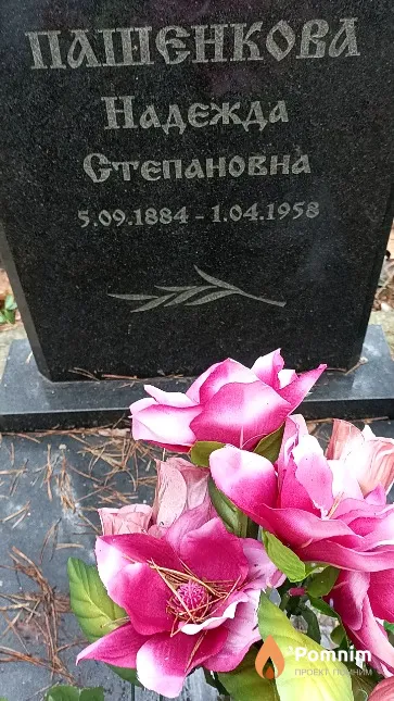 Пашенкова Надежда Степановна