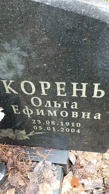 Корень Ольга Ефимовна