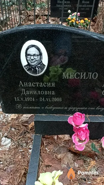 Месило Анастасия Даниловна