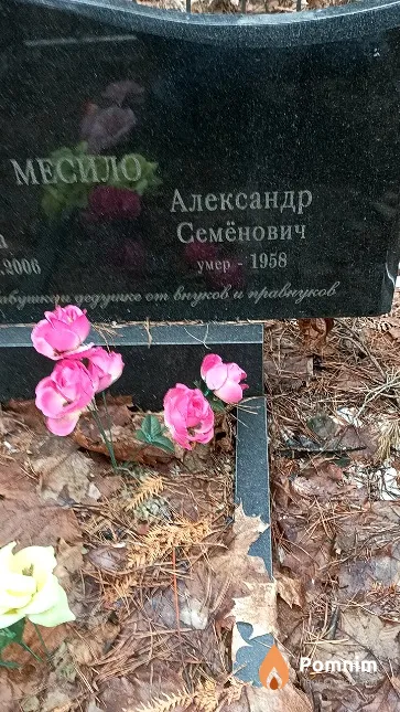 Месило Александр Семёнович