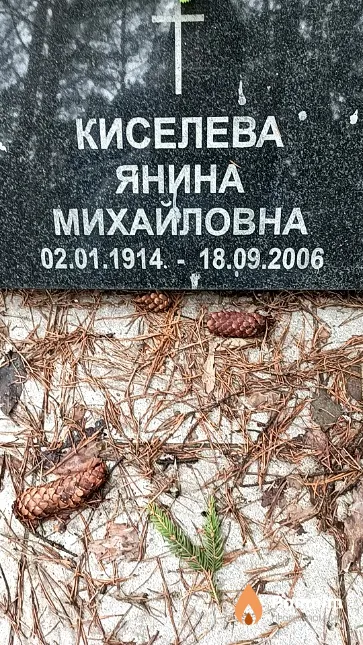 Киселева Янина Михайловна