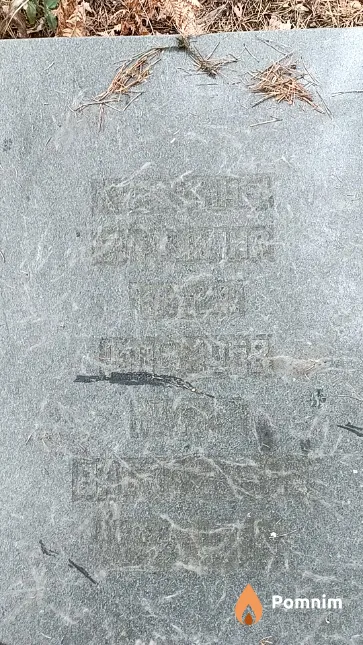 Курегина Мария Васильевна