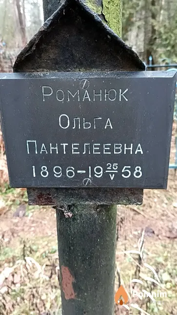 Романюк Ольга Пантелеевна