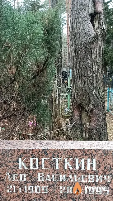 Косткин Лев Васильевич