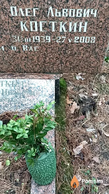 Косткин Олег Львович