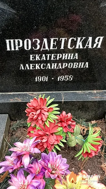 Проздетская Екатерина Александровна