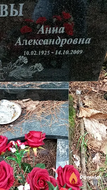 Орлова Анна Александровна