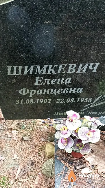 Шимкевич Елена Францевна