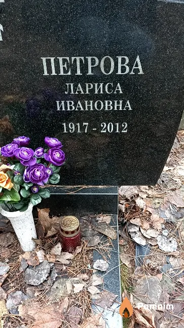 Петрова Лариса Ивановна