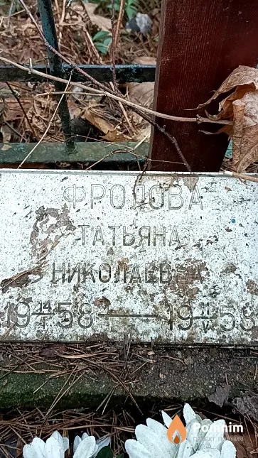 Фролова Татьяная Николаева