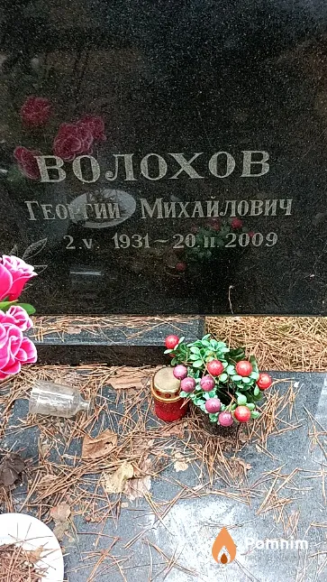 Волохов Георгий Михайлович