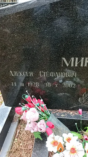 Микулич Алексей Стефанович