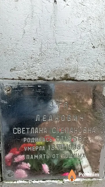 Леанович Светлана Степановна
