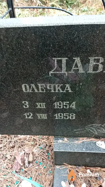 Давыдова Ольга